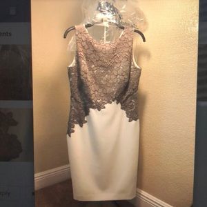Womens Ralph Lauren Dress